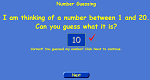 Number Guessing